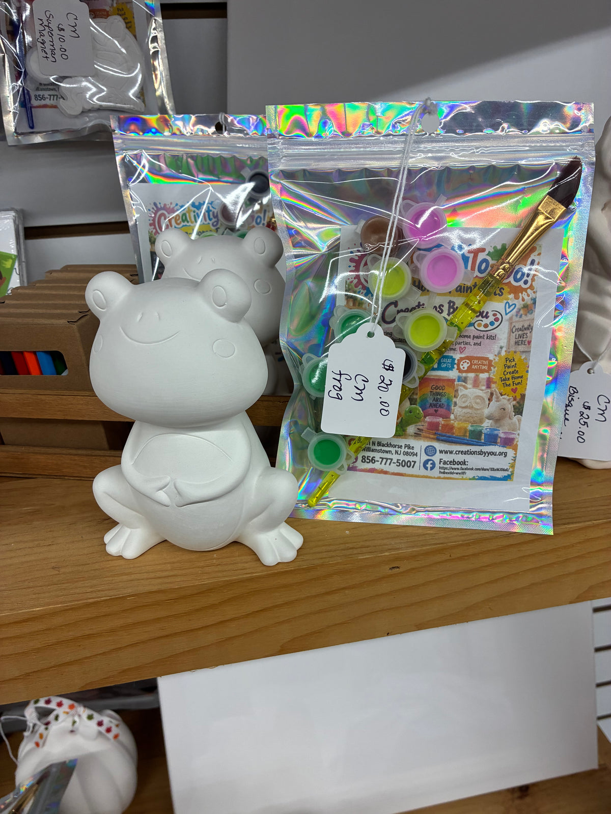 Ceramic frog take home kit