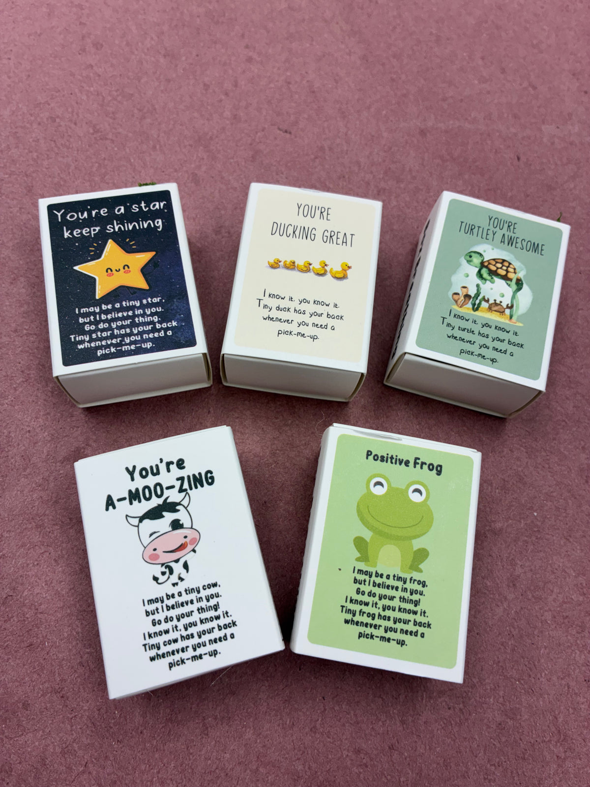 Mini box pets